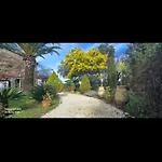 House With Garden & Jacuzzi Near Center