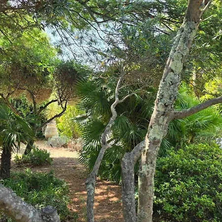 House With Garden & Jacuzzi Near Center Vakantiehuis *