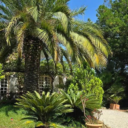 Vakantiehuis House With Garden & Jacuzzi Near Center