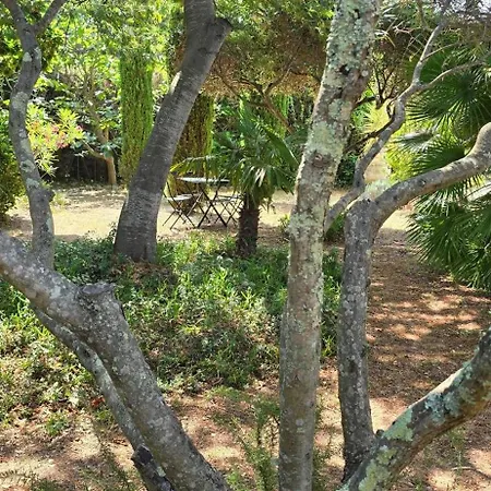 House With Garden And Jacuzzi - Near City Center Сasa de vacaciones Saint-Tropez