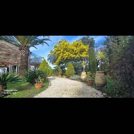 House With Garden And Jacuzzi - Near City Center