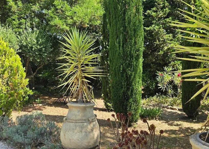 House With Garden & Jacuzzi Near Center Hébergement de vacances *