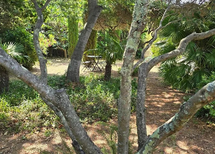 House With Garden & Jacuzzi Near Center Hébergement de vacances Saint-Tropez